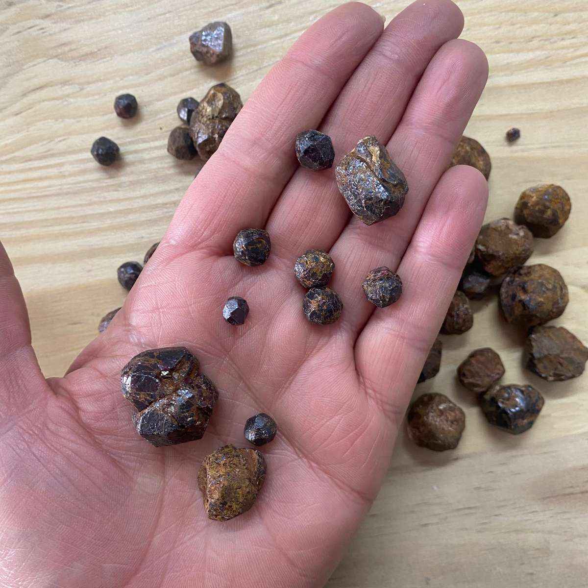 Rough Garnet Piece - Mixed Size