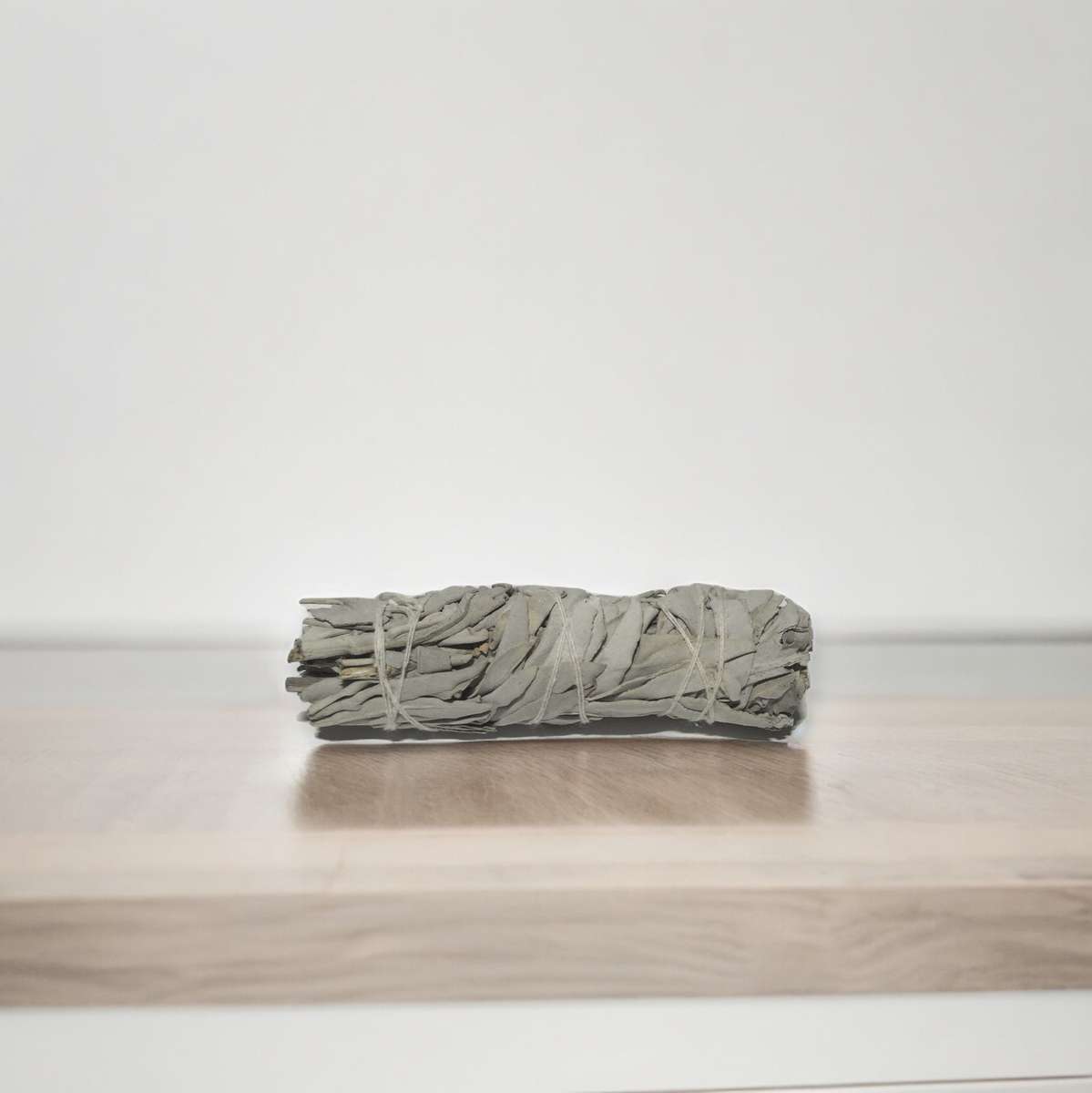 Californian White Sage - 10cm & 20cm