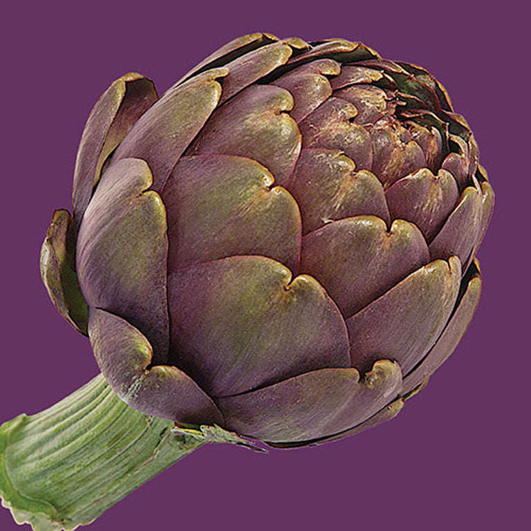 Artichoke Violet De Provence Seeds