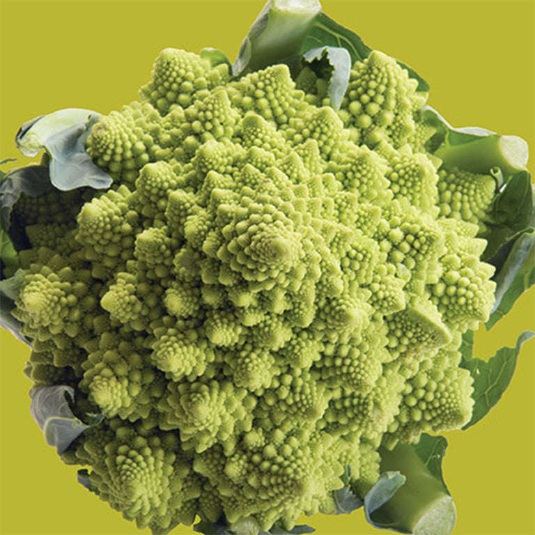 Cauliflower Romanesco Seeds