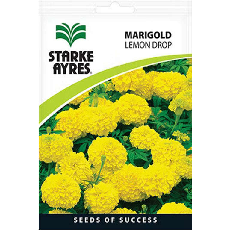 Marigold Lemon Drop Flower Seeds
