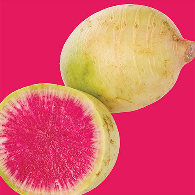 Radish Watermelon Seeds