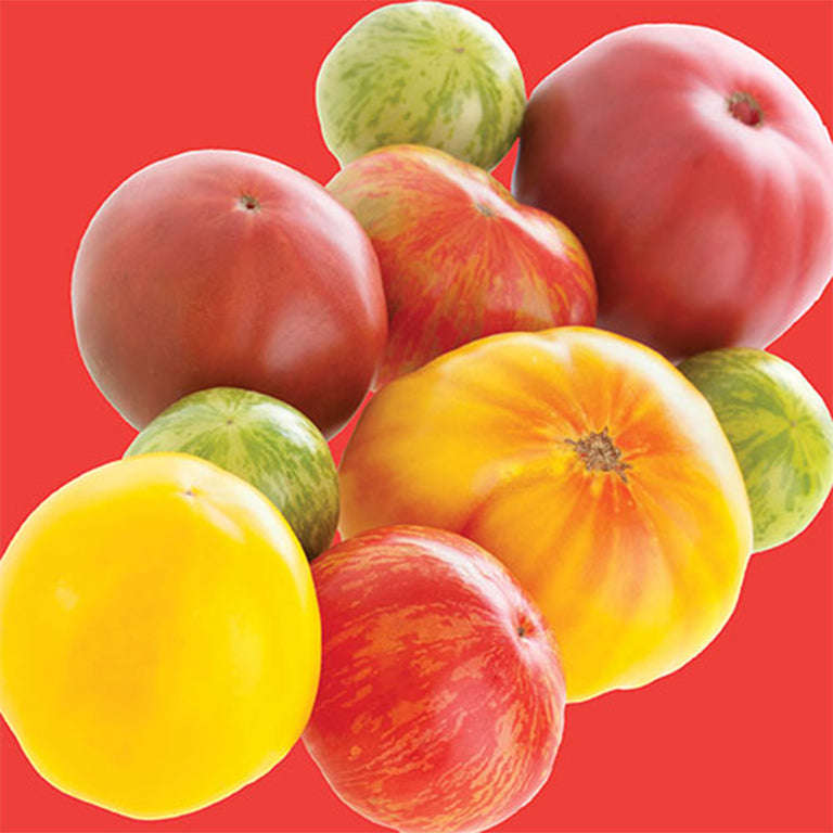 Tomato Heirloom Rainbow Mix Seeds