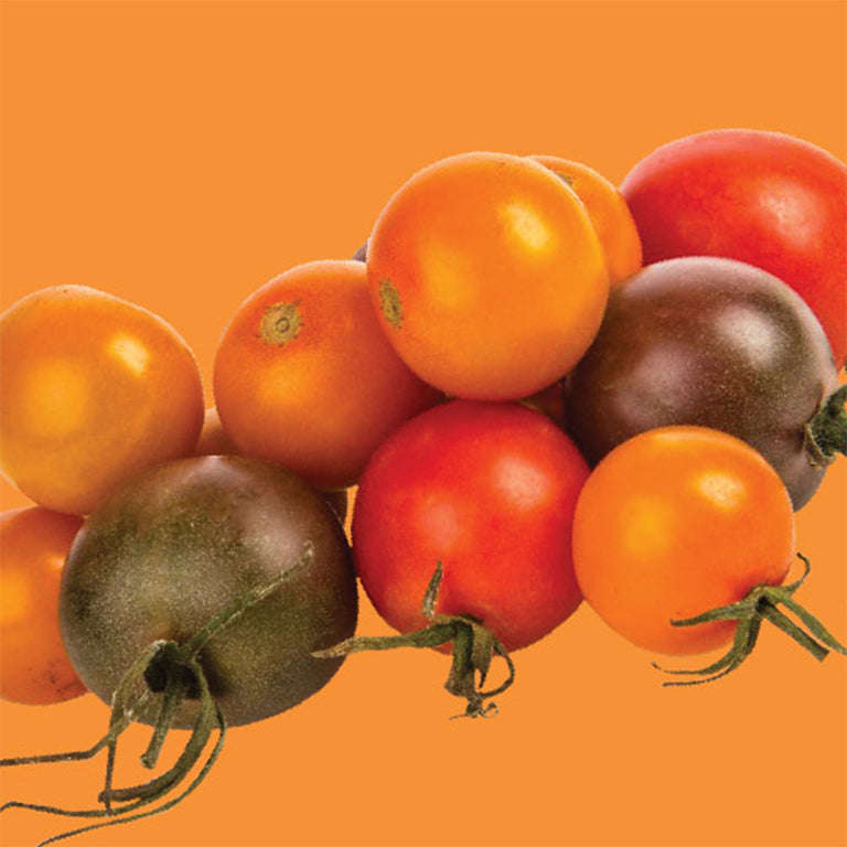Tomato Rainbow Cherry Mix