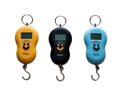 Portable 50kg Electronic Multi-Purpose Luggage Weighing Scale with Batteries