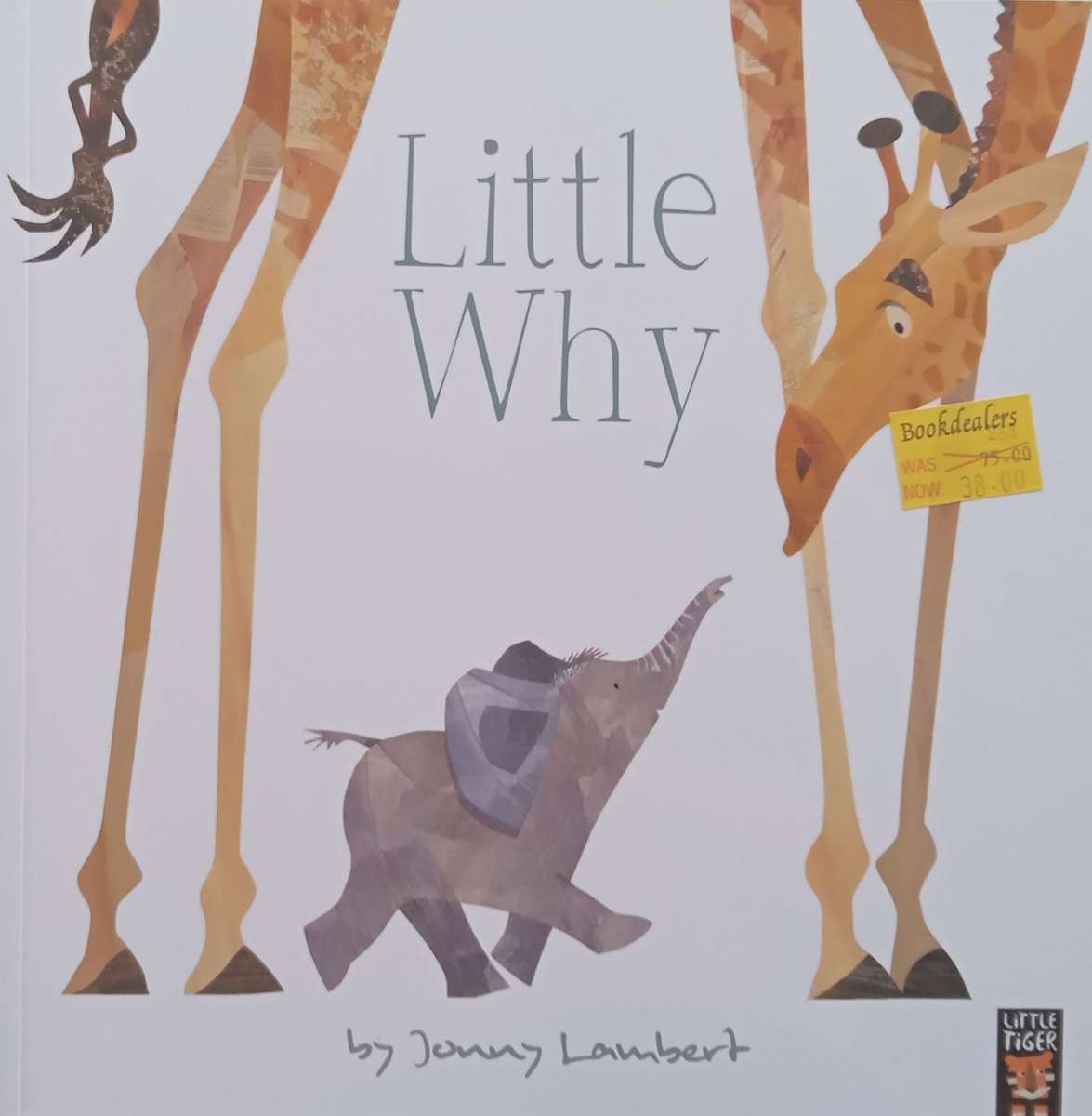 Little Why | Jonny Lambert