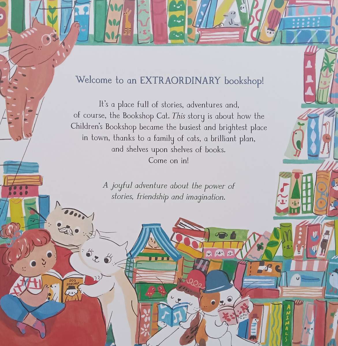 The Bookshop Cat | Cindy Wume