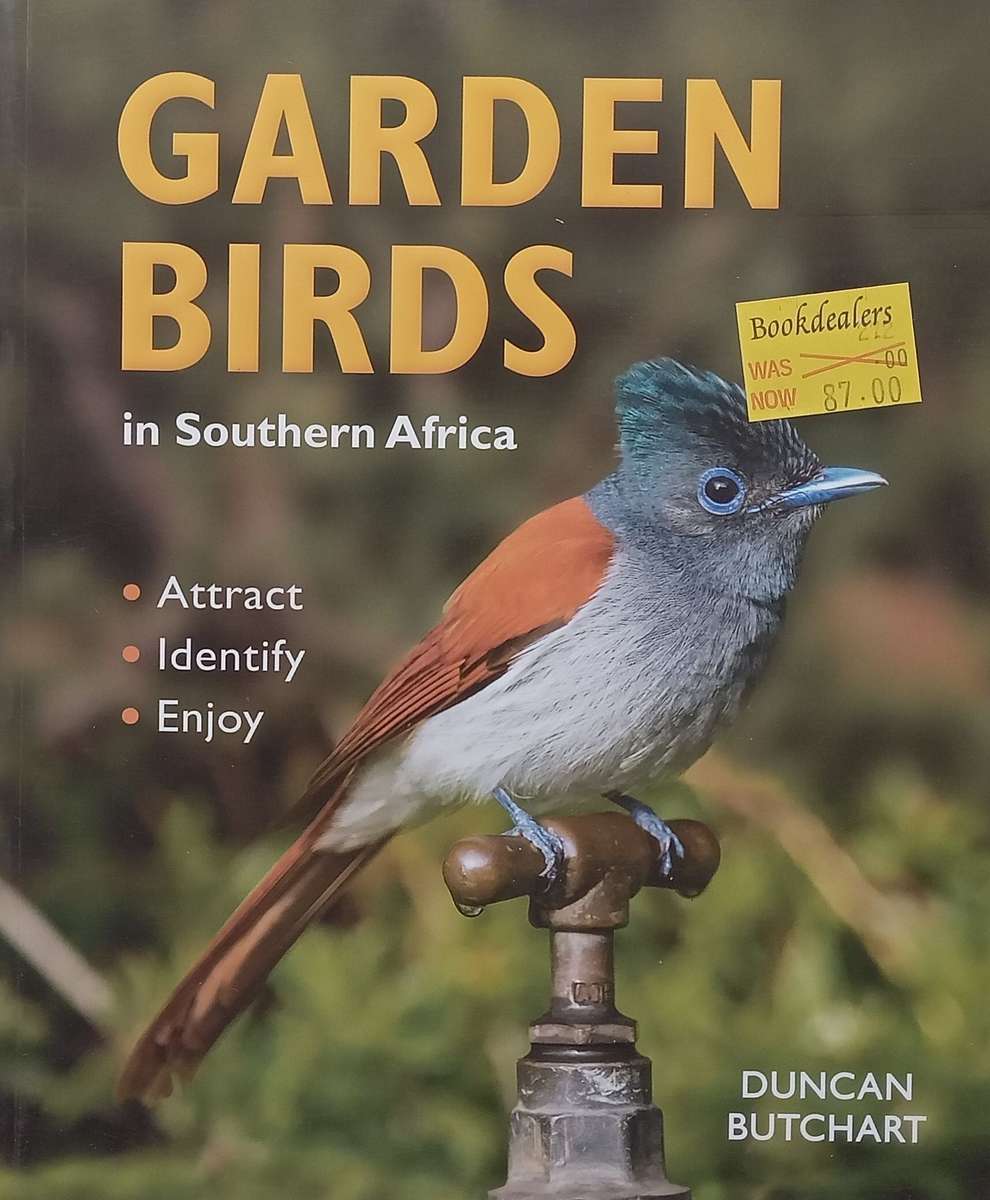 Garden Birds in South Africa: Attract, Identify, Enjoy | Duncan Butchart