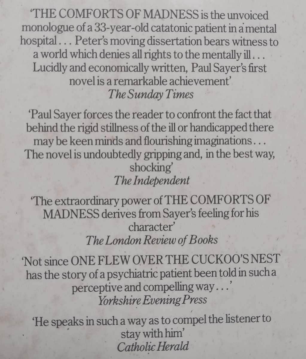 The Comforts of Madness | Paul Sayer