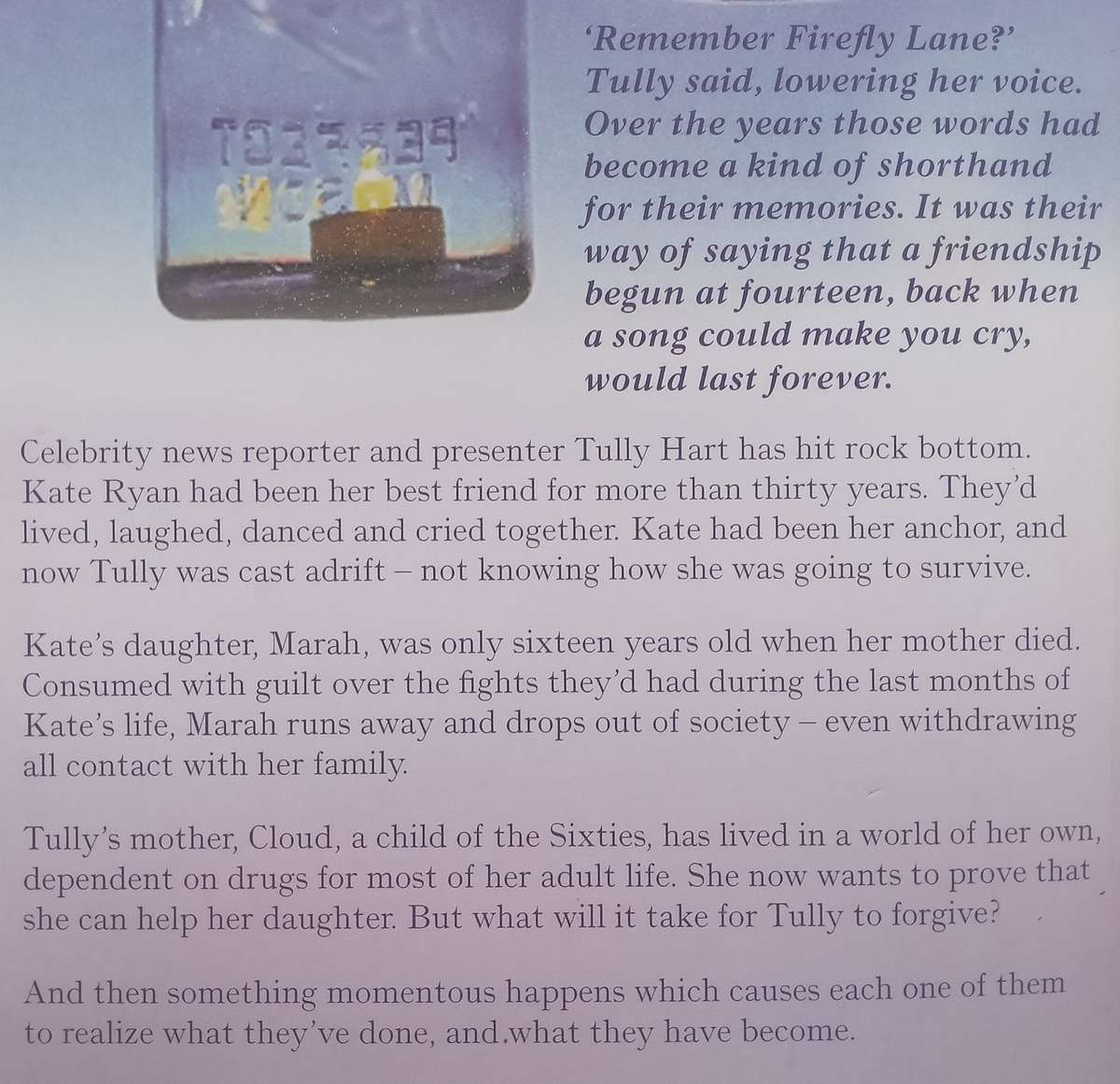 Fly Away | Kristin Hannah