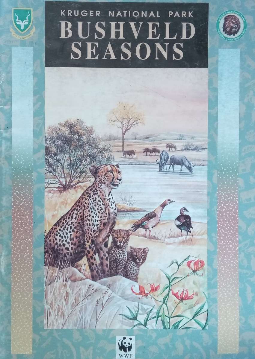 Kruger National Park Bushveld Seasons