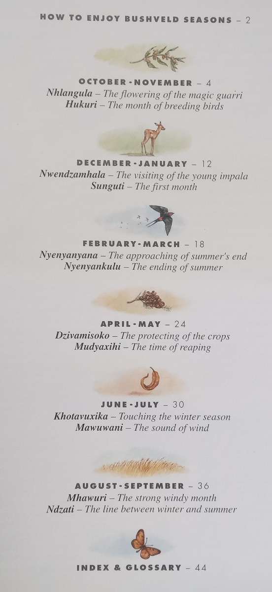 Kruger National Park Bushveld Seasons