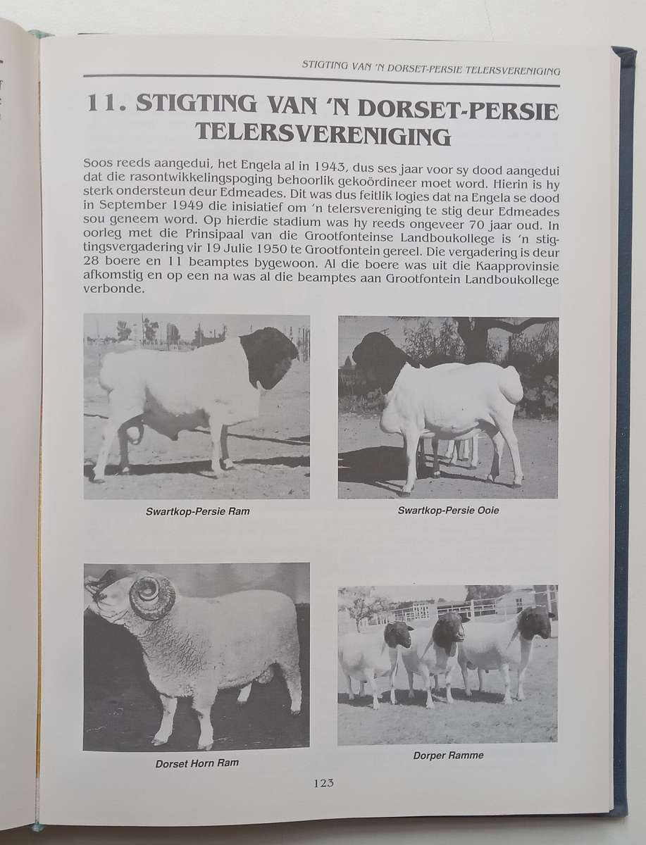 Geskiedenis van die Dorper (Afrikaans) | J. A. Nel