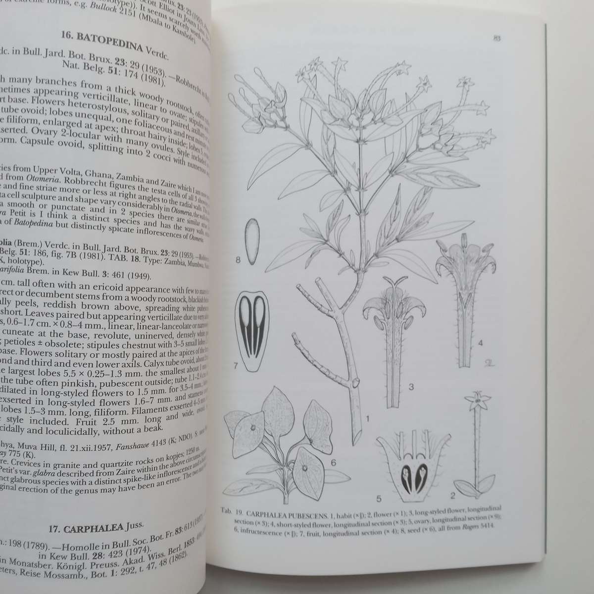 Flora Zambesiaca (Vol. 5, Part 1) | E. Launert (Ed.)