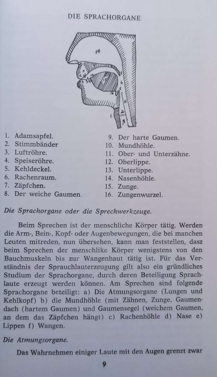 Deutsche Phonetik fur Sudafrikanische Studenten (German) | F. D. du Plooy