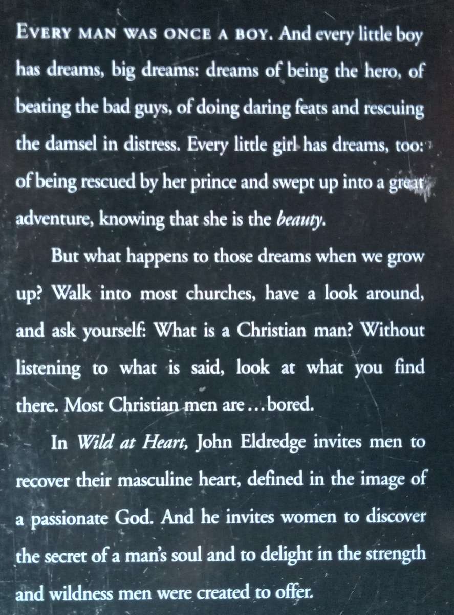 Wild at Heart: Discovering the Secret of a Mans Soul | John Eldredge