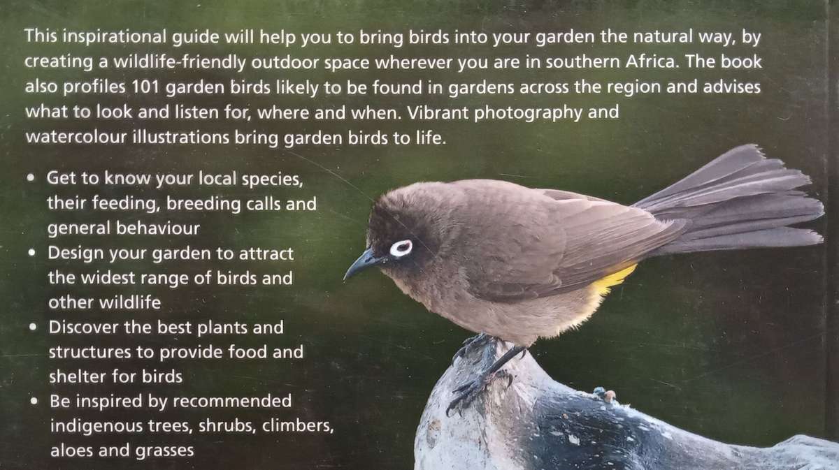 Garden Birds in South Africa: Attract, Identify, Enjoy | Duncan Butchart