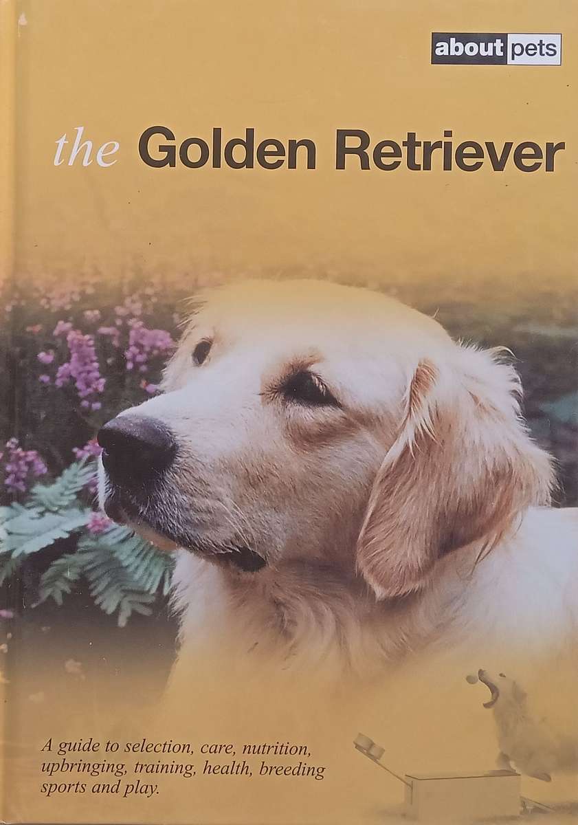 The Golden Retriever