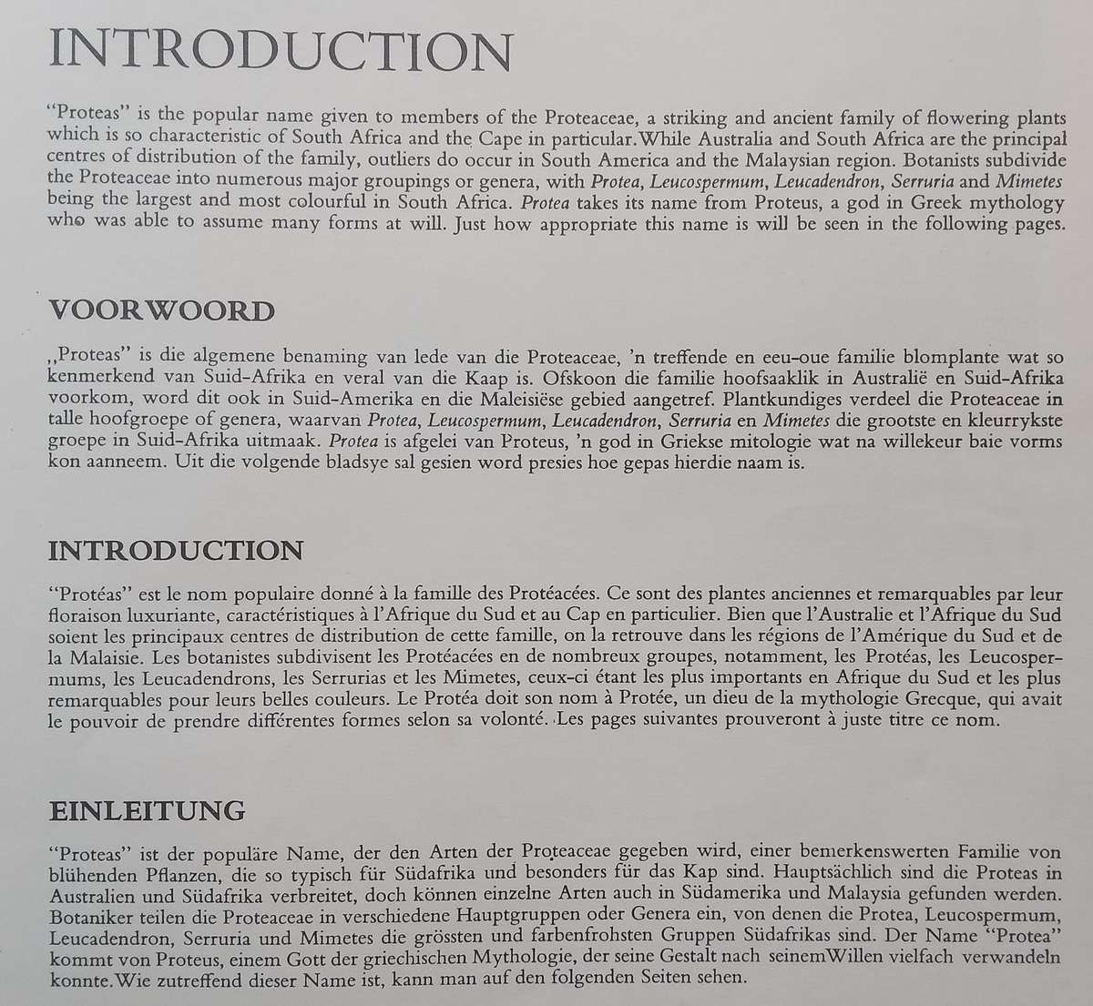 Proteas: Natures Pride