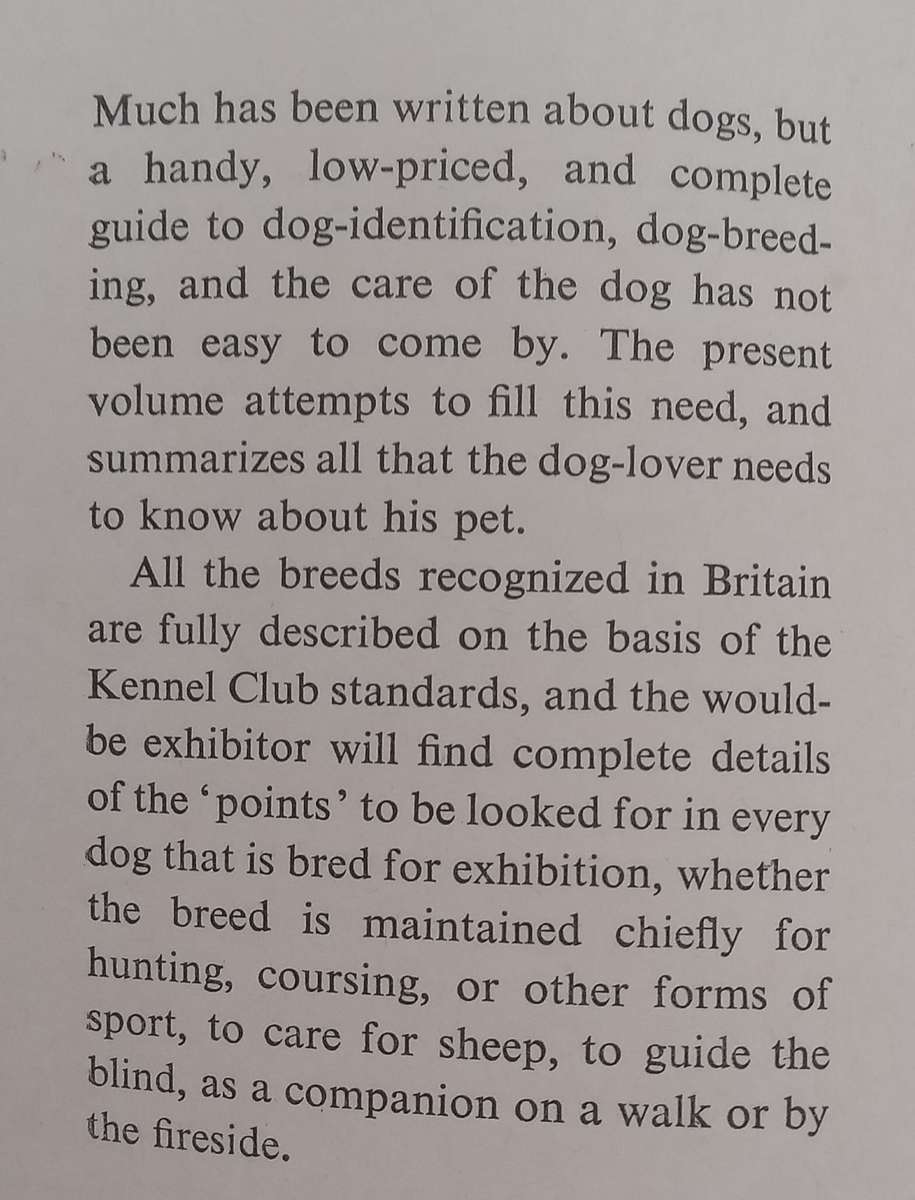 Dogs | Arthur Croxton Smith