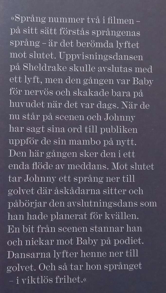 Spranget ut i Friheten (Swedish) | Birgitta Holm