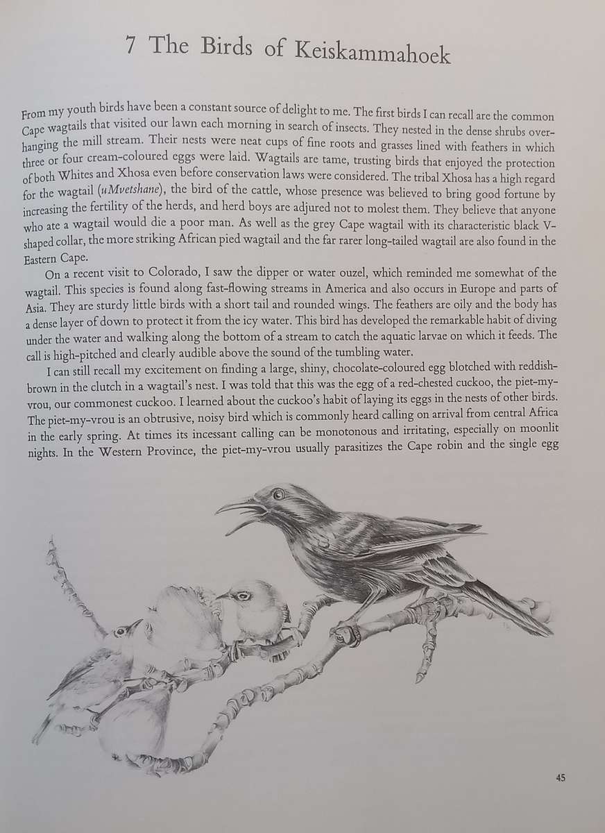 Water: Source of Life (Signed by Author and Illustrator, Inscribed by Illustrator) | Douglas Hey