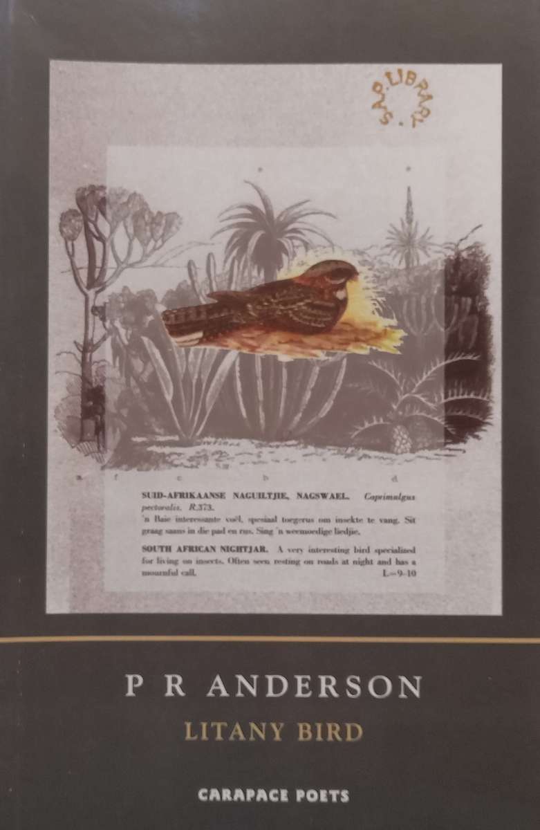 Litany Bird | P. R. Anderson