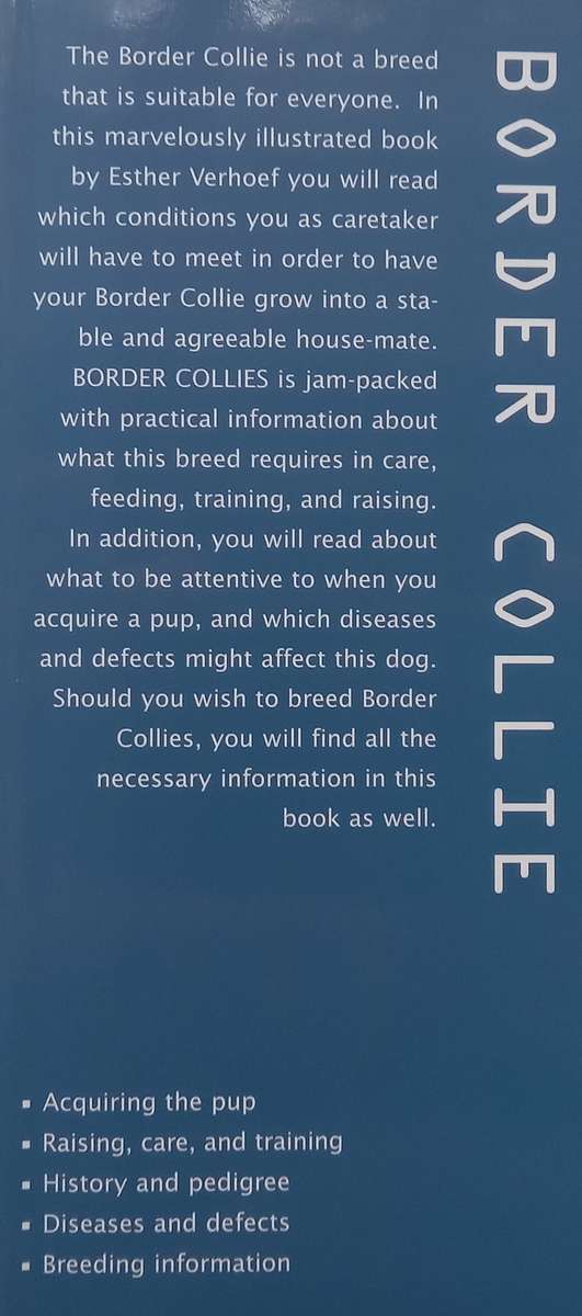 Border Collie | Esther Verhoef