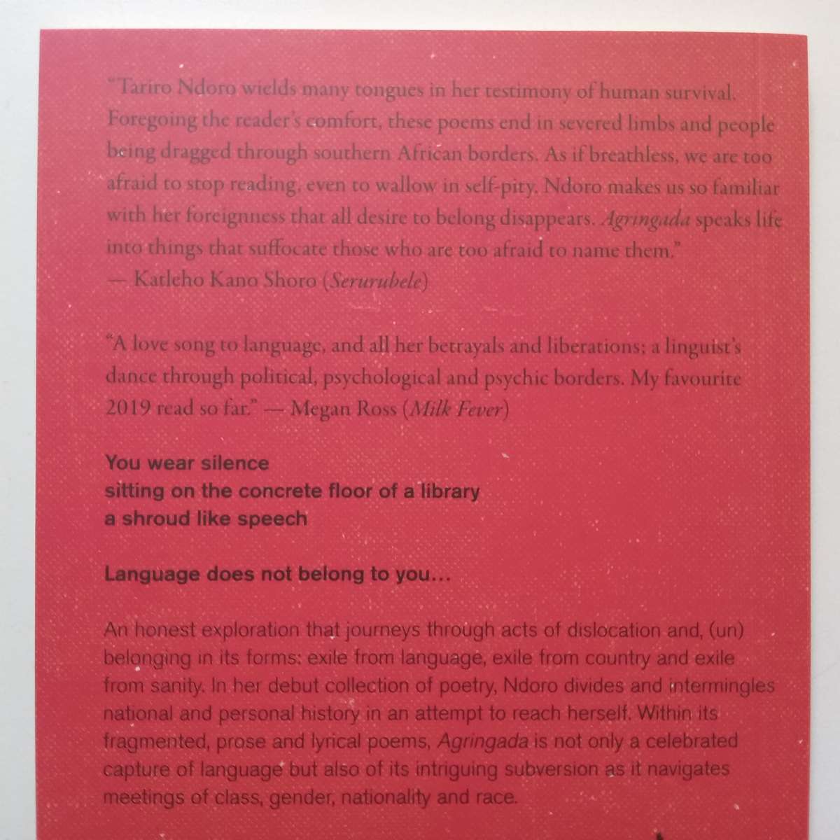 Agringada: Like a Gringa, Like a Foreigner | Tariro Ndoro