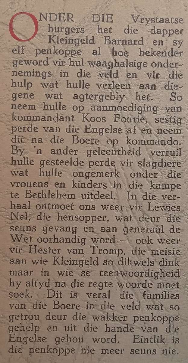 Burgers van die Kleingeld-Kommando (Afrikaans) | Mikro