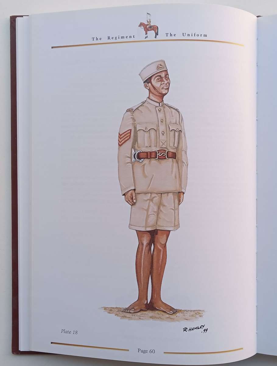 The Regiment: A History and the Uniforms of the British South Africa Police (Limited Edition) | R...