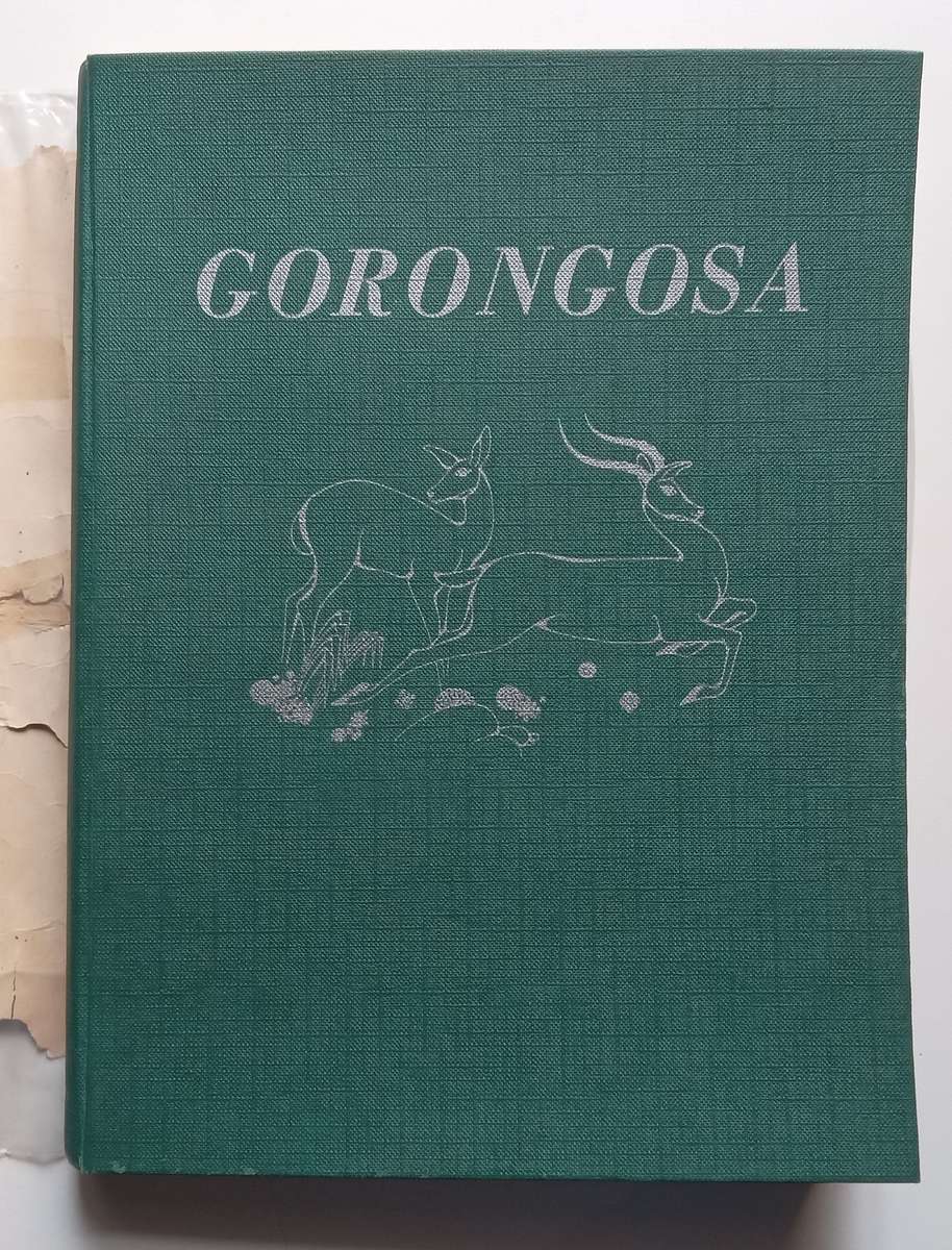 Gorongosa: Shooting Big Game with a Camera | Joao Augusto Silva