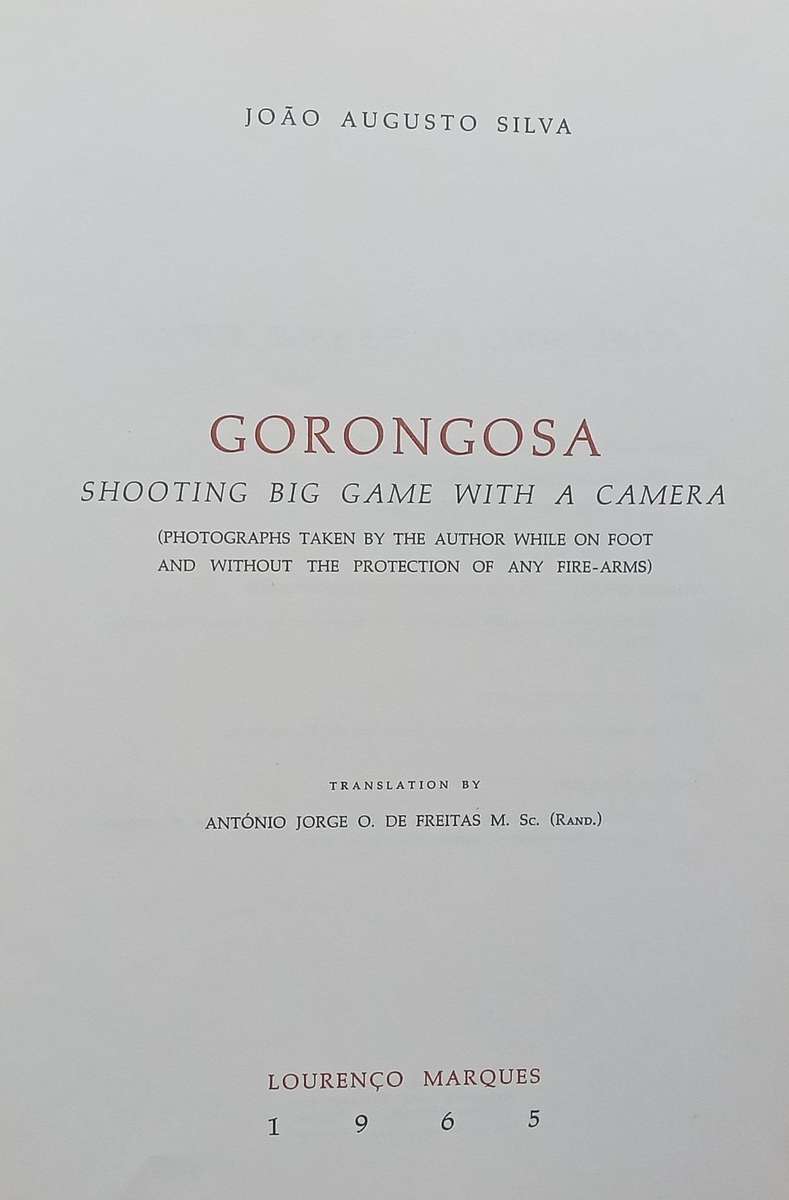 Gorongosa: Shooting Big Game with a Camera | Joao Augusto Silva