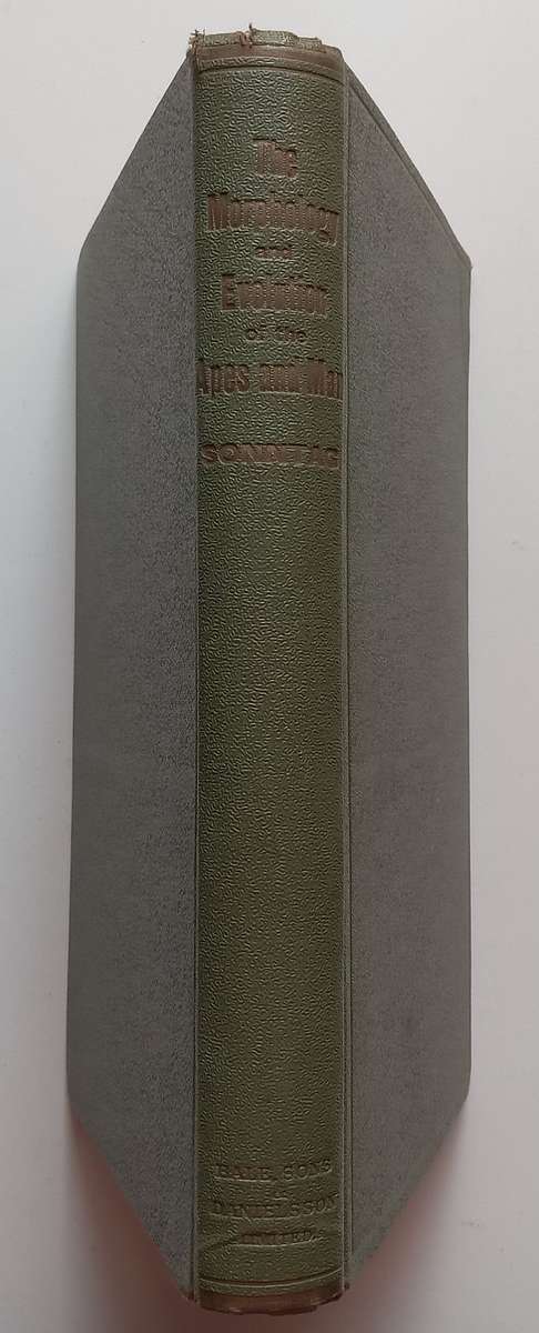 The Morphology and Evolution of the Apes and Man (Published 1924) | Charles F. Sonntag