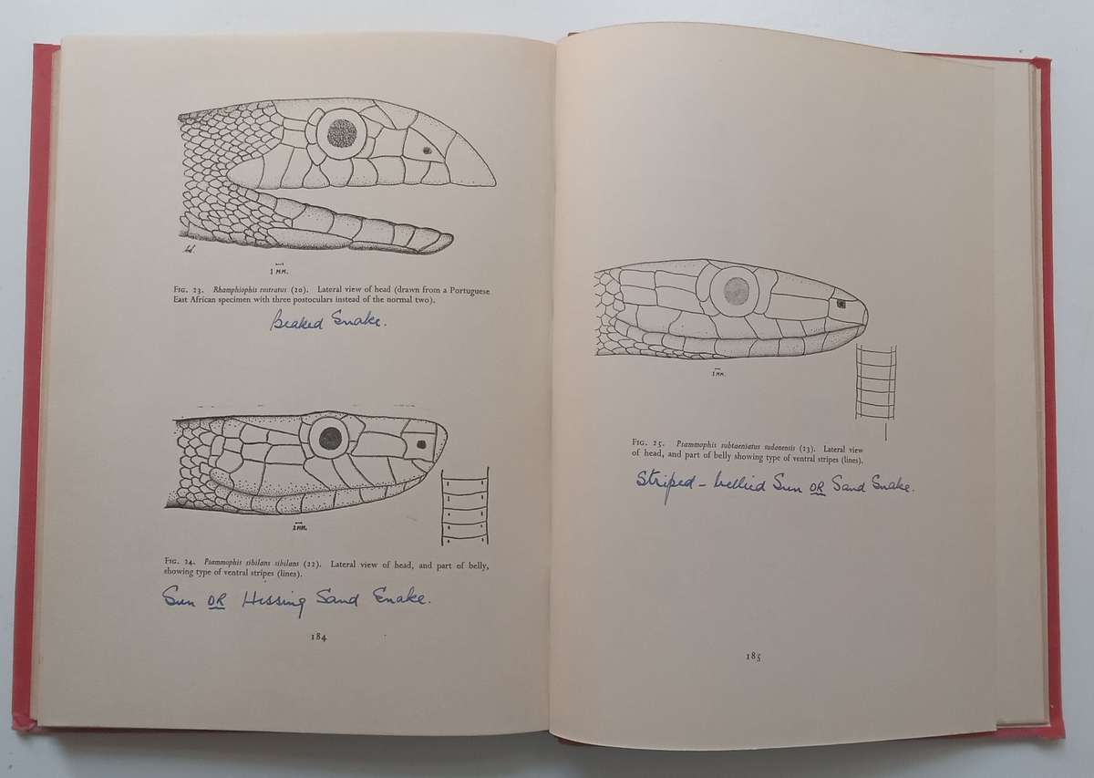 Snakes of Nyasaland | R. C. H. Sweeney