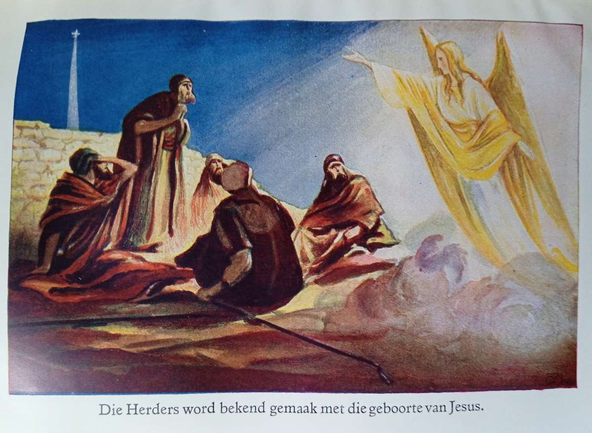 Die Kaapse Kinderbybel, of die Geskiedenisse van die Bybel op die Eenvoudigste Wyse Vertel | F.J....