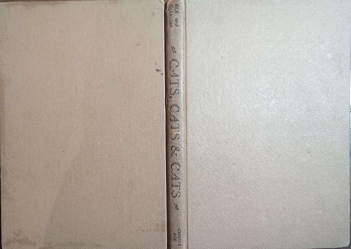 Cats, Cats, and Cats | Edward Rice and Jean Gleason