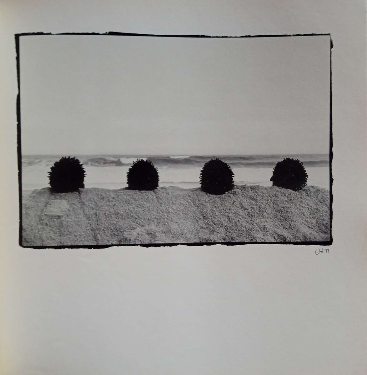 Textured lives : An exhibition of photographs - Val Adamson