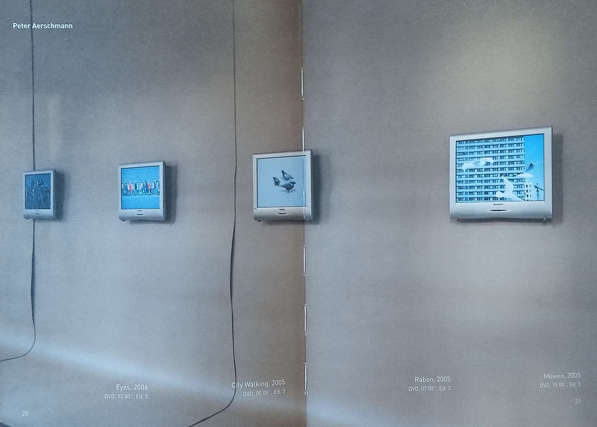 Looping Memories: Works From a Swiss Video Art Collection [German/English]