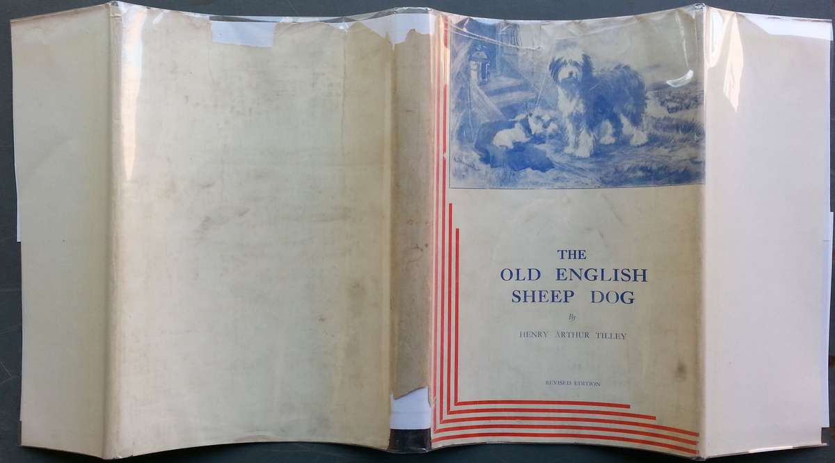 The Old English Sheep Dog | Henry Arthur Tilley