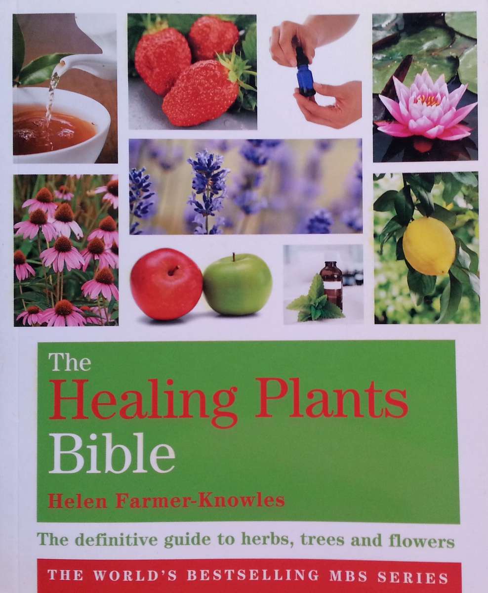 The Healing Plants Bible | Helen Farmer-Knowles