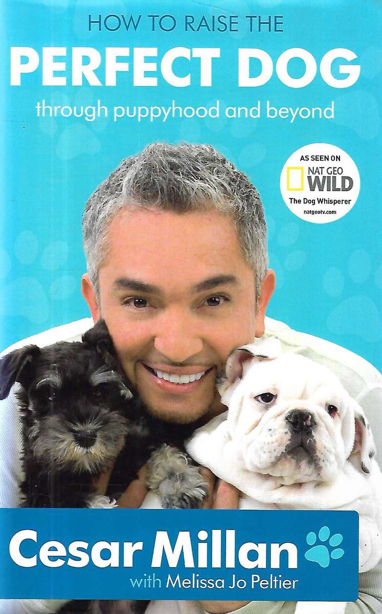 How to Raise the Perfect Dog Through Puppyhood and Beyond | Cesar Millan