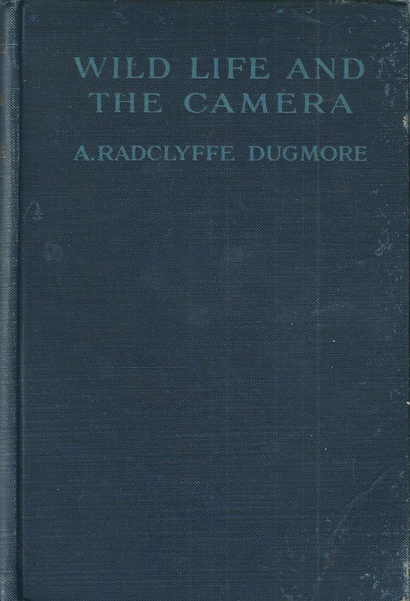 Wild Life and the Camera | A. Radclyffe Dugmore