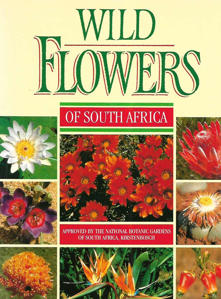 Wild Flowers of South Africa