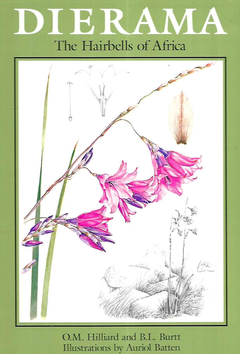 Dierama: The Hairbells of Africa | O. M. Hilliard & B. L. Burtt