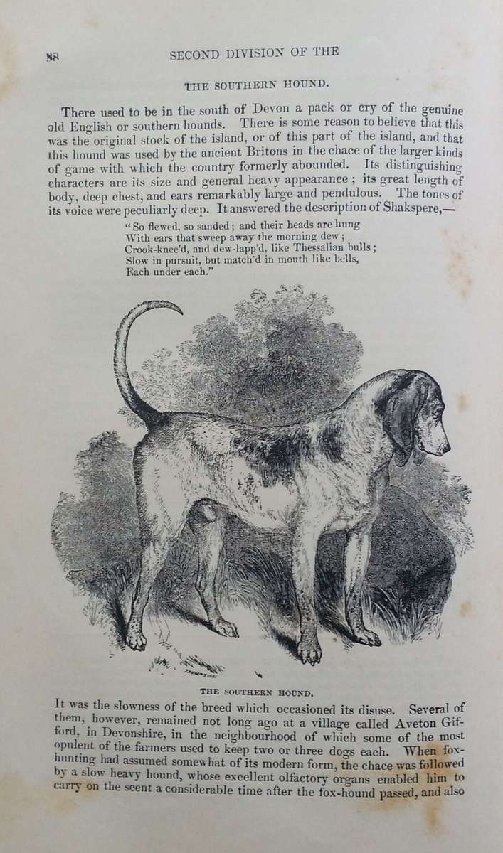 The Dog (Published 1895) | William Youatt