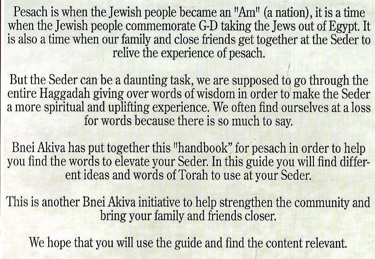 Your Handbook to the Pesach Seder | Bnei Akiva