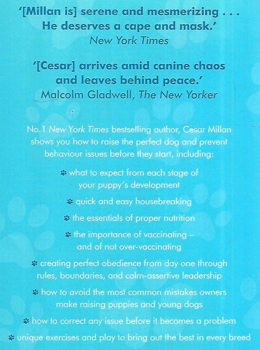 How to Raise the Perfect Dog Through Puppyhood and Beyond | Cesar Millan