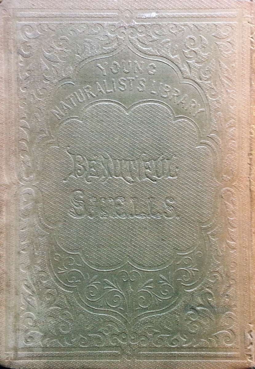 Beautiful Shells: Their Nature, Structure, and Uses (First Edition, 1855, with Hand-Coloured Plat...