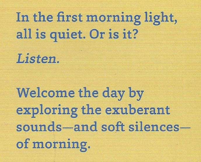 What Sound Is Morning? | Grant Snider